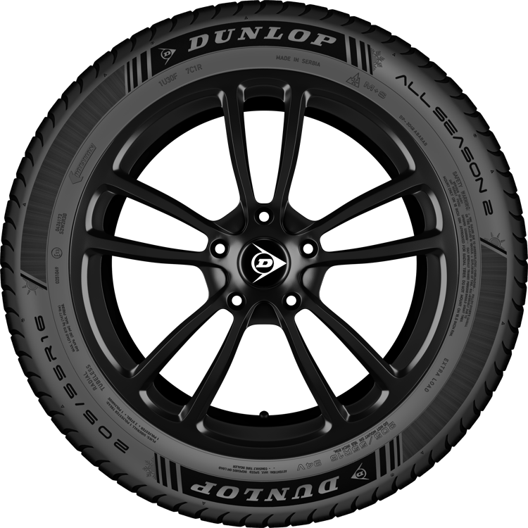 DUNLOP_ALL_SEASON_2_rim_sidewall.png