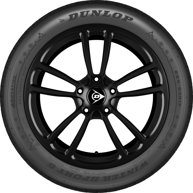 DUNLOP_WINTER_SPORT_5_rim_sidewall.png