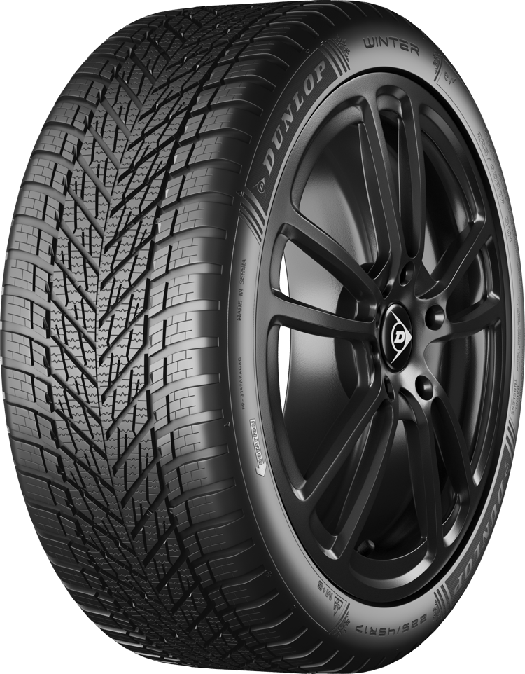 Dunlop WINTER